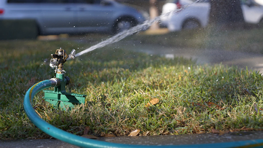 Responsibly Reducing Water Waste in Your Garden and Yard