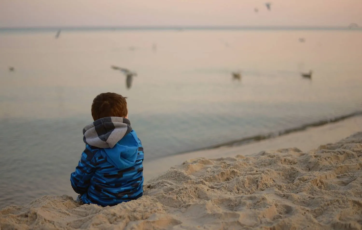 Raising Resilient Earth Stewards: Understanding and Addressing Eco-Anxiety in Children